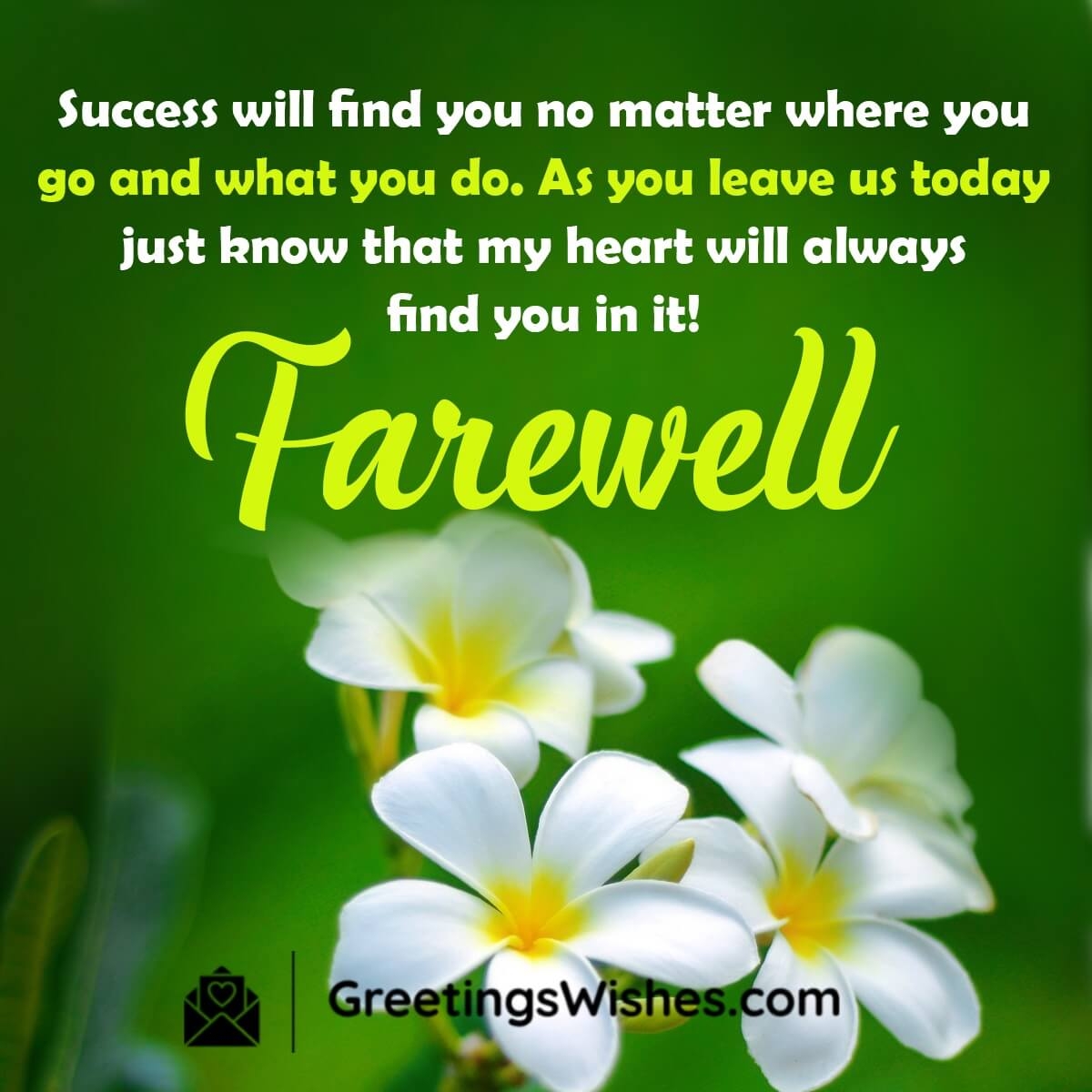 Best Farewell Wishes Messages Greetings Wishes