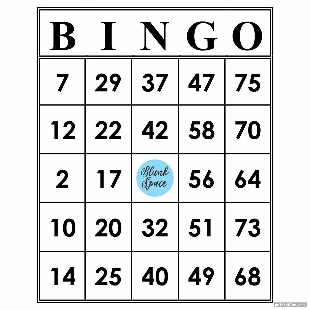 Bingo Cards 1 75 Printable
