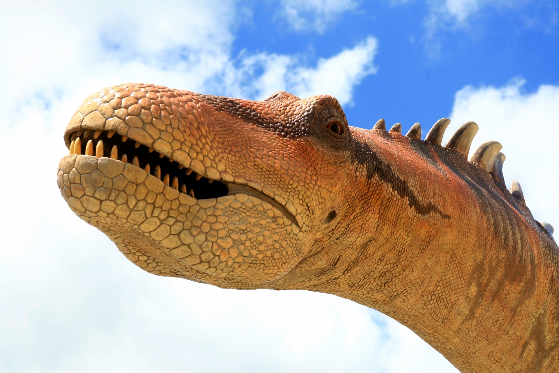 Dinosaur Free Stock Photo Public Domain Pictures