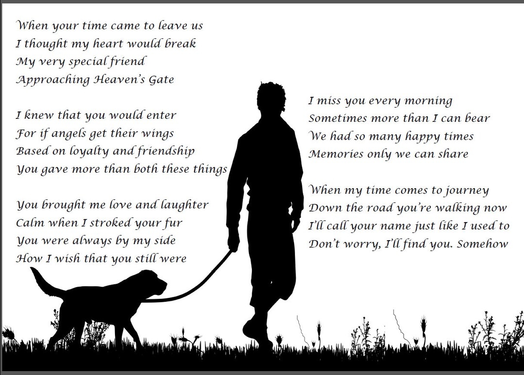 Dog Sympathy Card Dog Bereavement Card Dog Condolence Card Dog Sympathy Dog Sympathy Card Dog Bereavement Card Dog Condolence Card Dog Sympathy