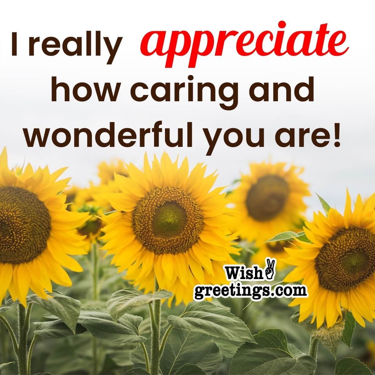 Short Appreciation Messages Wish Greetings Short Appreciation Messages Wish Greetings