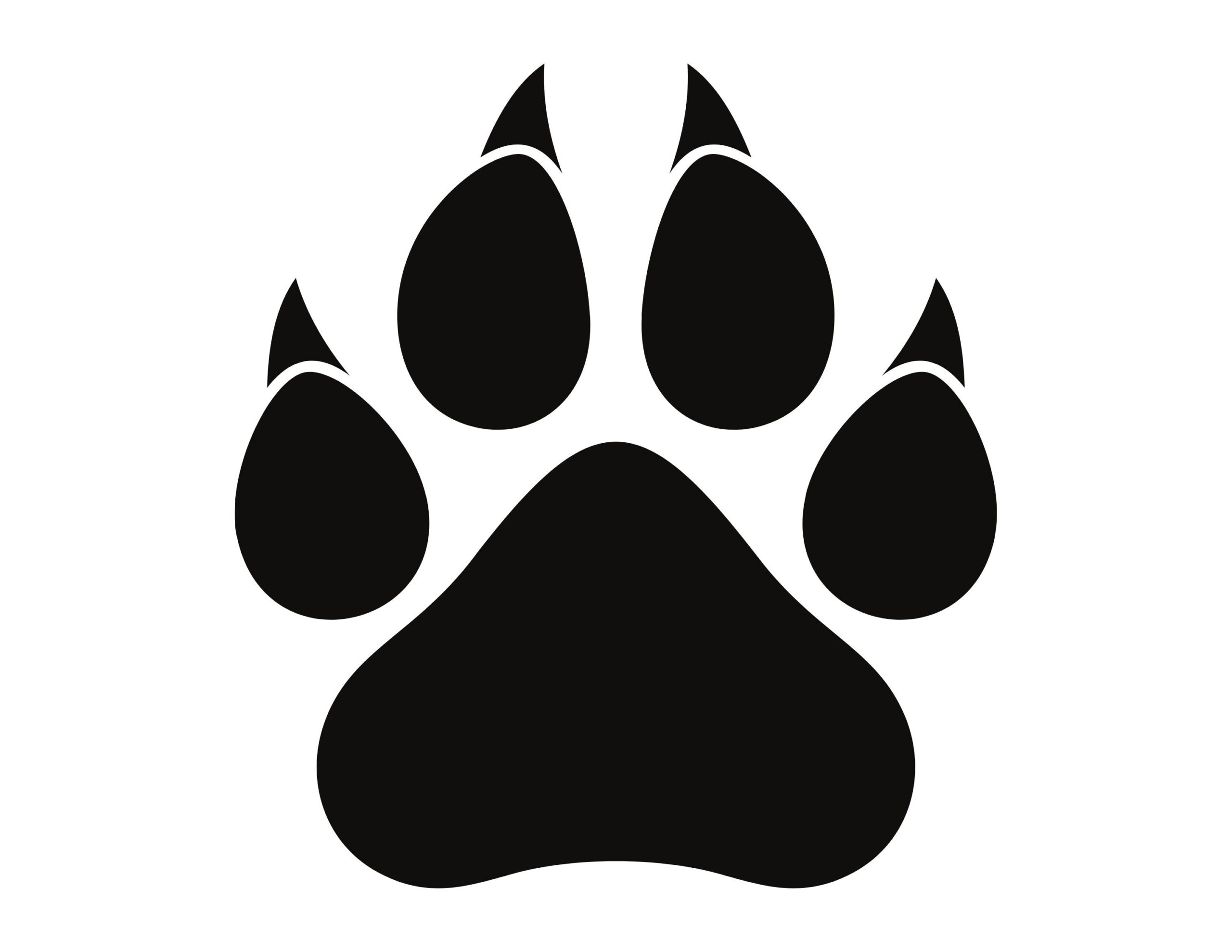 Tiger Paw SVG Instant Download SVG PNG Jpg Digital Download Etsy